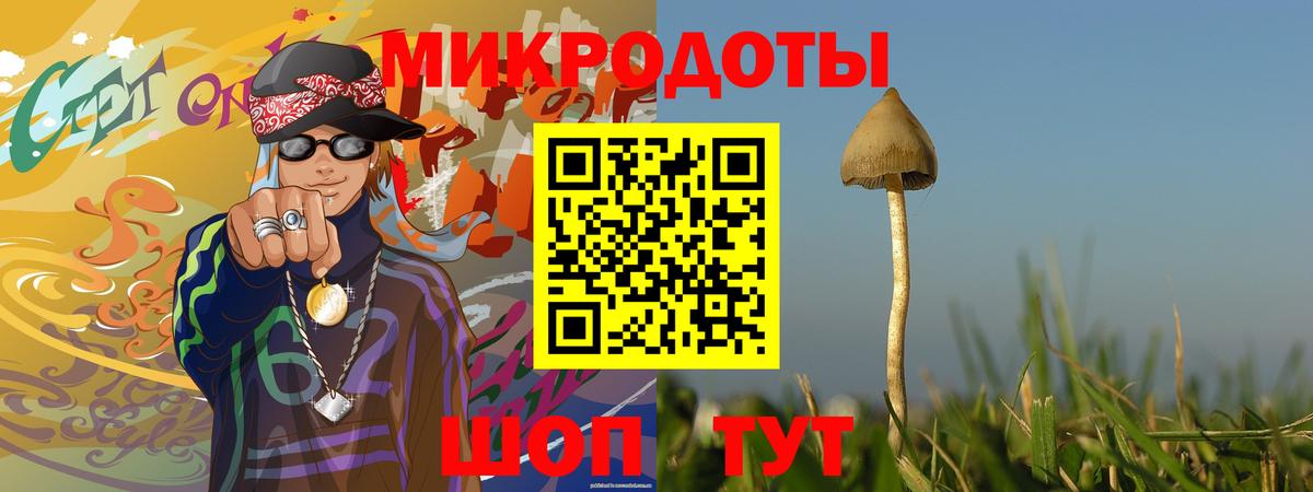 Галлюциногенные грибы Psilocybe  Вход с VPN  закладка  Нефтекамск 